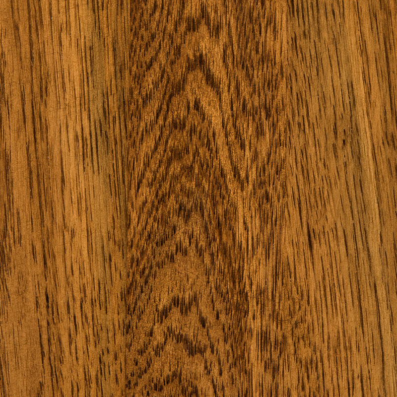 Hickory-Hoosier-Special-FC-11043