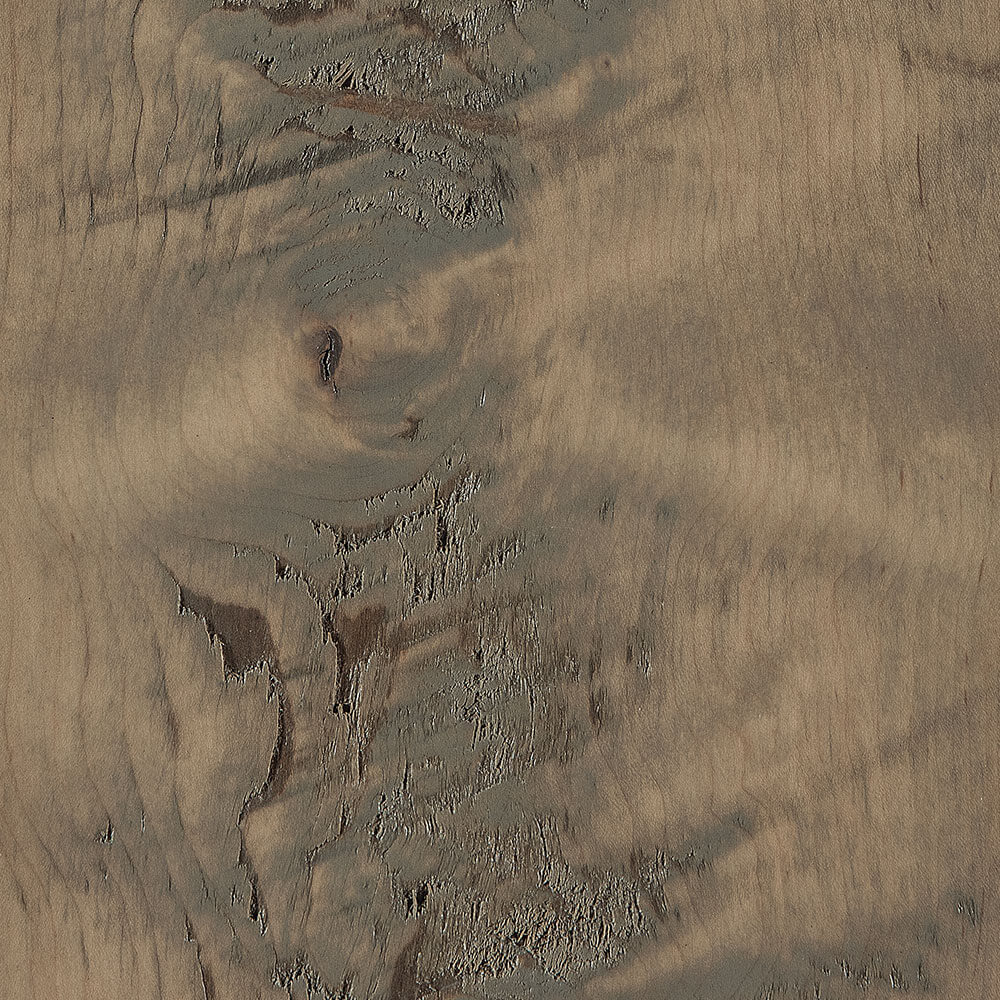 Spectrum-Finishing-Rough-Sawn-Wormy-Maple-PCL-Seashell-D22N09096