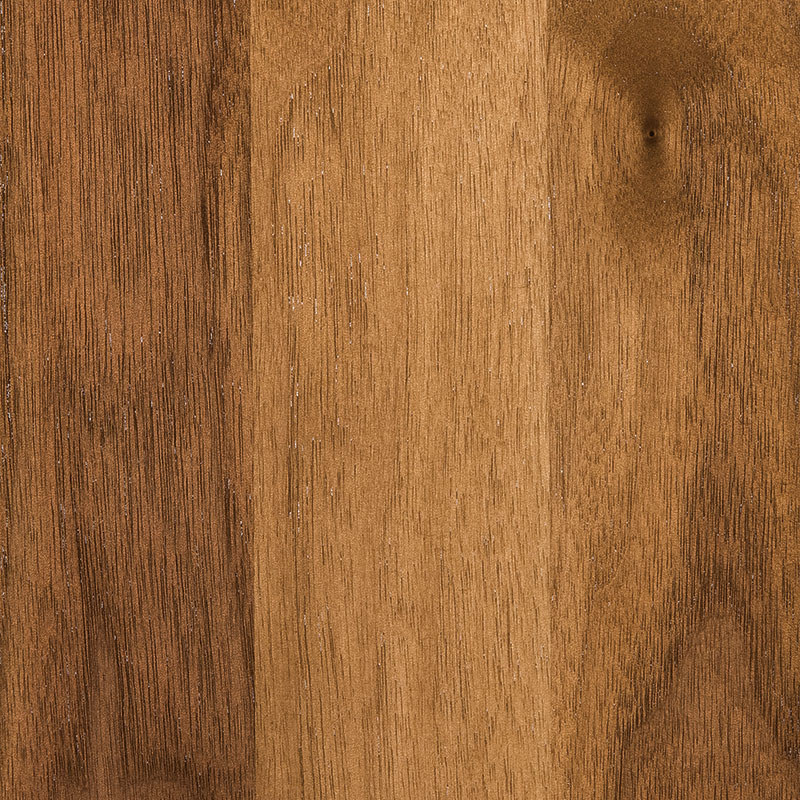 Walnut-Harvest-FC-107